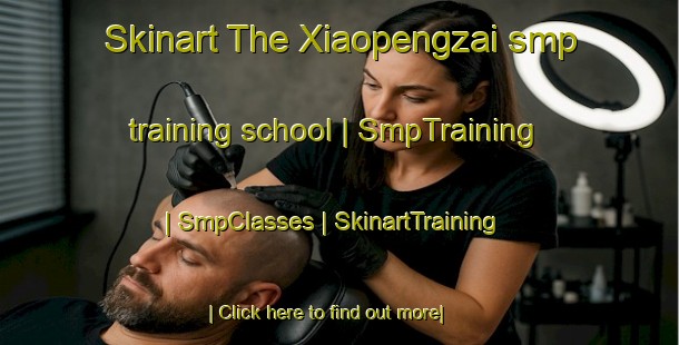 Skinart The Xiaopengzai smp training school | SmpTraining | SmpClasses | SkinartTraining-China